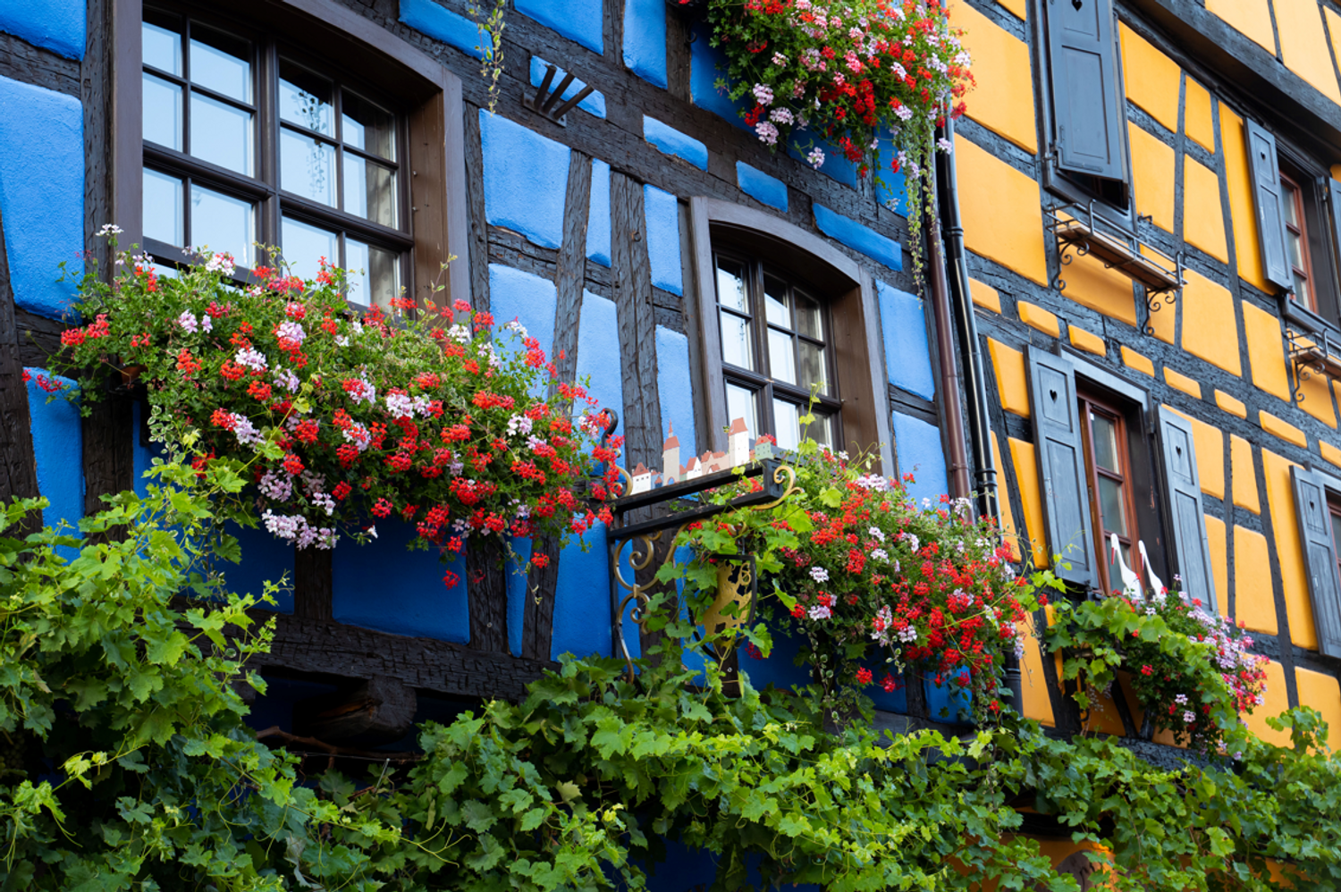 Riquewihr